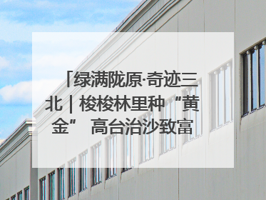 绿满陇原·奇迹三北｜梭梭林里种“黄金” 高台治沙致富很“从容”