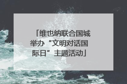 维也纳联合国城举办“文明对话国际日”主题活动