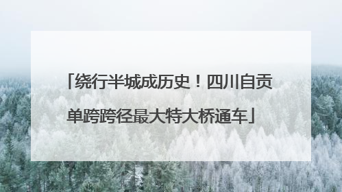 绕行半城成历史！四川自贡单跨跨径最大特大桥通车