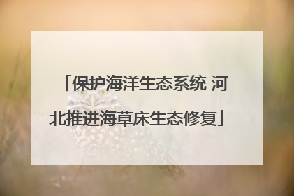 保护海洋生态系统 河北推进海草床生态修复