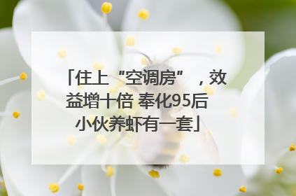 住上“空调房”，效益增十倍 奉化95后小伙养虾有一套