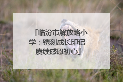 临汾市解放路小学：镌刻成长印记 赓续感恩初心