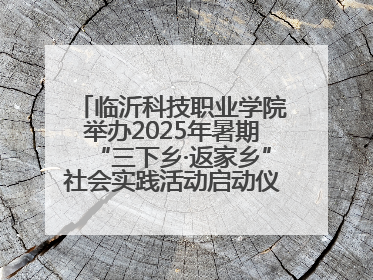 临沂科技职业学院举办2025年暑期“三下乡·返家乡”社会实践活动启动仪式暨社会实践活动供需交流会