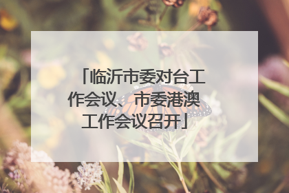 临沂市委对台工作会议、市委港澳工作会议召开