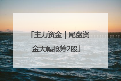主力资金｜尾盘资金大幅抢筹2股