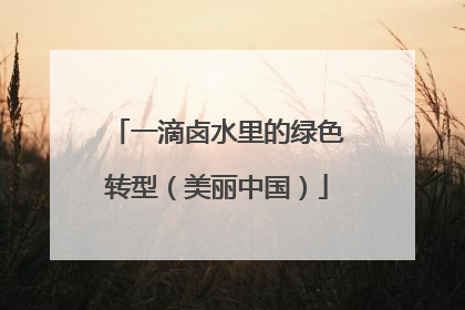 一滴卤水里的绿色转型（美丽中国）