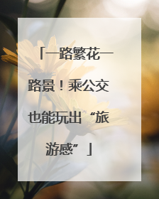 一路繁花一路景！乘公交也能玩出“旅游感”