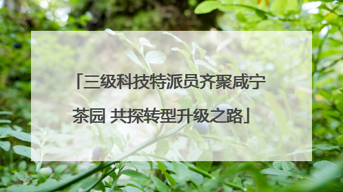 三级科技特派员齐聚咸宁茶园 共探转型升级之路
