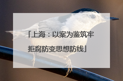 上海：以案为鉴筑牢拒腐防变思想防线