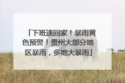 下班速回家！暴雨黄色预警！贵州大部分地区暴雨，多地大暴雨
