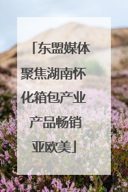 东盟媒体聚焦湖南怀化箱包产业 产品畅销亚欧美