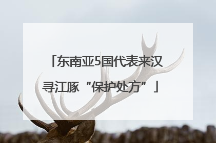东南亚5国代表来汉寻江豚“保护处方”