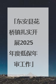 东安县花桥镇扎实开展2025年度低保年审工作