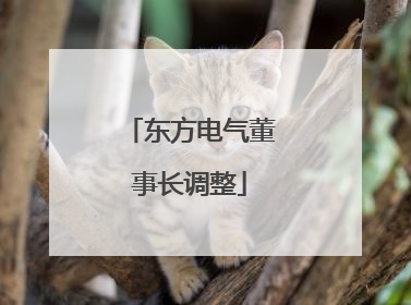 东方电气董事长调整