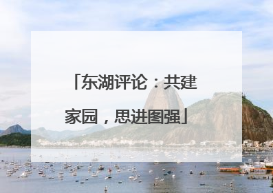 东湖评论：共建家园，思进图强