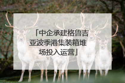 中企承建格鲁吉亚波季港集装箱堆场投入运营