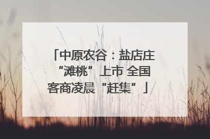 中原农谷：盐店庄“滩桃”上市 全国客商凌晨“赶集”