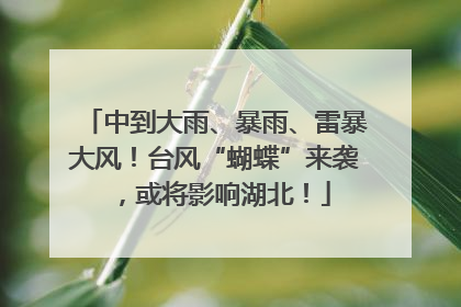 中到大雨、暴雨、雷暴大风！台风“蝴蝶”来袭，或将影响湖北！