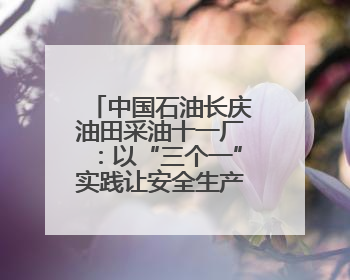 中国石油长庆油田采油十一厂：以“三个一”实践让安全生产月活动“活”起来