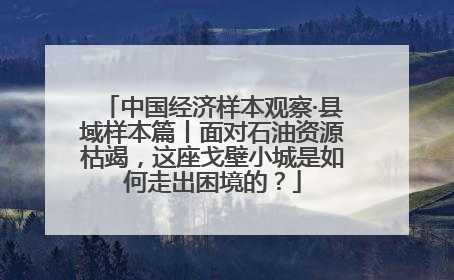 中国经济样本观察·县域样本篇丨面对石油资源枯竭，这座戈壁小城是如何走出困境的？
