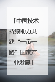 中国技术持续助力共建“一带一路”国家产业发展