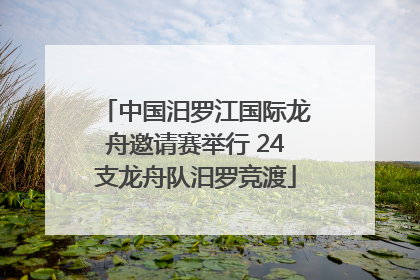 中国汨罗江国际龙舟邀请赛举行 24支龙舟队汨罗竞渡