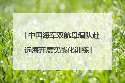 中国海军双航母编队赴远海开展实战化训练