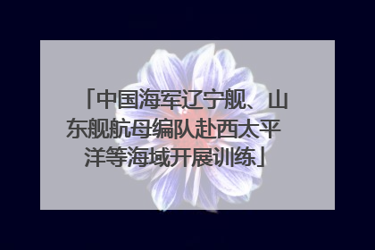 中国海军辽宁舰、山东舰航母编队赴西太平洋等海域开展训练