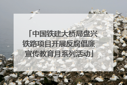 中国铁建大桥局盘兴铁路项目开展反腐倡廉宣传教育月系列活动