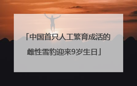 中国首只人工繁育成活的雌性雪豹迎来9岁生日