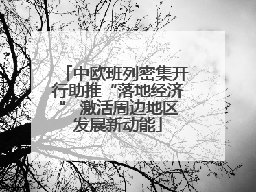 中欧班列密集开行助推“落地经济” 激活周边地区发展新动能
