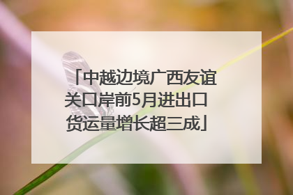 中越边境广西友谊关口岸前5月进出口货运量增长超三成