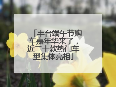 丰台端午节购车嘉年华来了，近二十款热门车型集体亮相