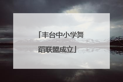 丰台中小学舞蹈联盟成立