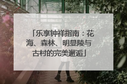 乐享钟祥指南：花海、森林、明显陵与古村的完美邂逅