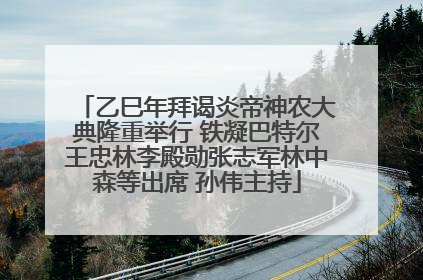乙巳年拜谒炎帝神农大典隆重举行 铁凝巴特尔王忠林李殿勋张志军林中森等出席 孙伟主持