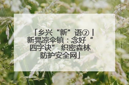 乡兴“新”语②丨新晃凉伞镇：念好“四字诀” 织密森林防护安全网