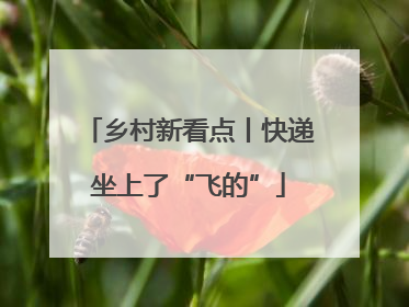 乡村新看点丨快递坐上了“飞的”