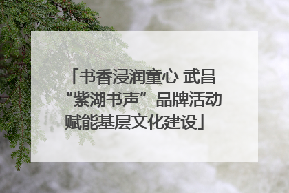 书香浸润童心 武昌“紫湖书声”品牌活动赋能基层文化建设