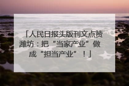 人民日报头版刊文点赞潍坊：把“当家产业”做成“担当产业”！