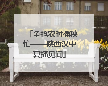 争抢农时插秧忙——陕西汉中夏播见闻