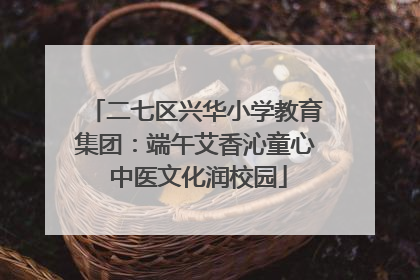 二七区兴华小学教育集团：端午艾香沁童心 中医文化润校园