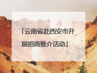 云南省赴西安市开展招商推介活动