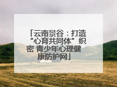云南景谷：打造“心育共同体”织密 青少年心理健康防护网