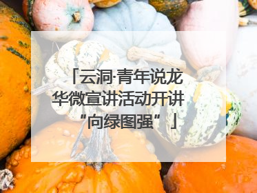 云洞·青年说龙华微宣讲活动开讲“向绿图强”