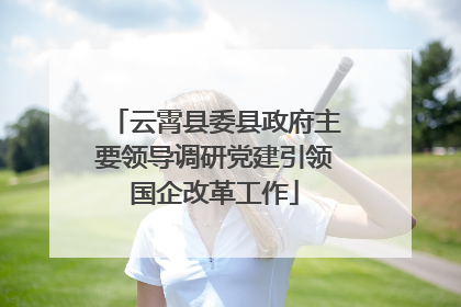 云霄县委县政府主要领导调研党建引领国企改革工作