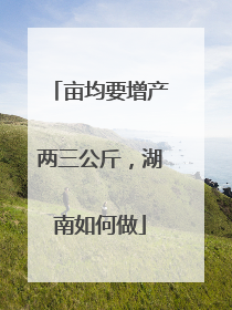 亩均要增产两三公斤，湖南如何做