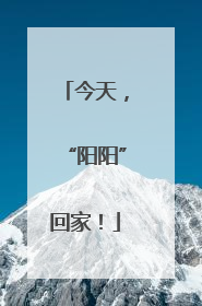 今天，“阳阳”回家！
