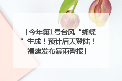 今年第1号台风“蝴蝶”生成！预计后天登陆！福建发布暴雨警报