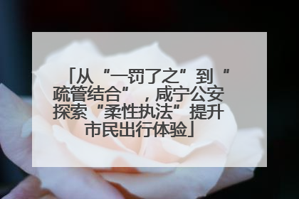 从“一罚了之”到“疏管结合”，咸宁公安探索“柔性执法”提升市民出行体验